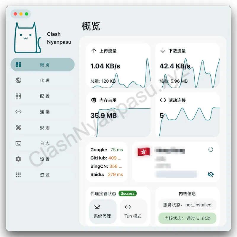 Clash Nyanpasu 主界面